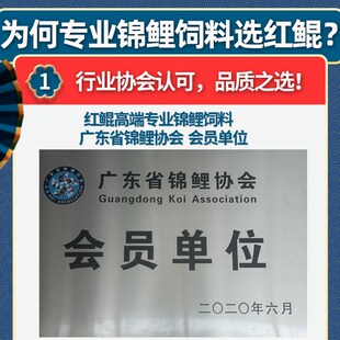 红鲲育成锦鲤鱼饲料增体增色鱼食锦鲤专用大颗粒鱼料鱼粮锦鲤饲料