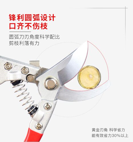 耀星园艺剪刀修枝剪修花剪果树剪枝剪刀花艺园林树枝剪刀工具