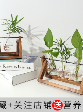 木架水培器皿绿萝植物小花瓶水养创意办公室台面摆件原木三件套装