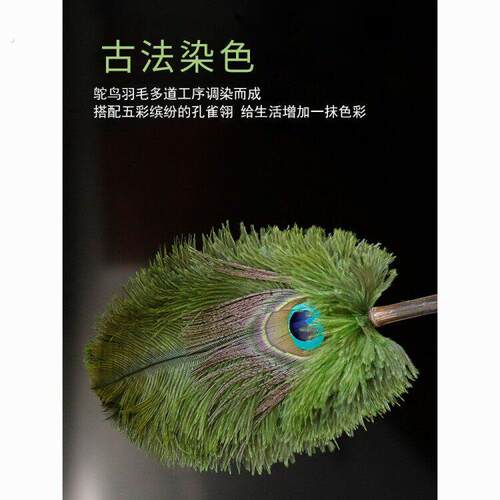 孔雀翎鸵鸟毛静电除尘掸家用扫灰鸡毛撢子清洁神器饰品孔雀毛缝隙