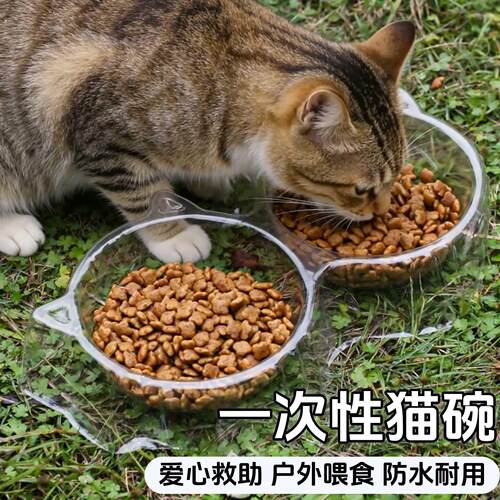 一次性猫碗户外防蚁宠物碗轻便可回收塑料流浪猫狗喂食水碗防打翻