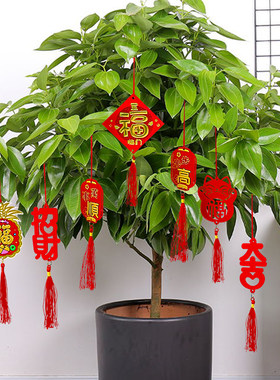 新年过年装饰品挂件2023兔年春节盆景盆栽红包小吊饰银柳福字挂饰
