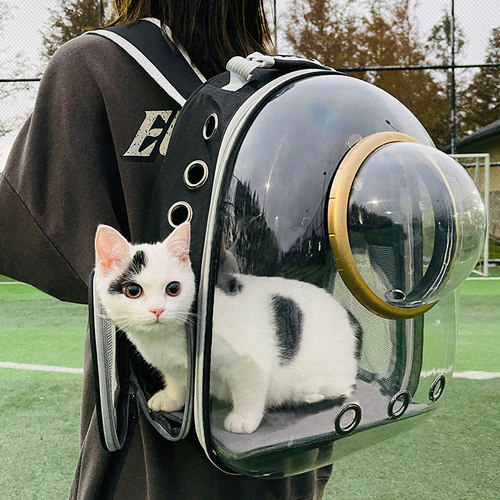 猫包便携外出防应激猫咪洗澡神器宠物包背包太空舱双肩兔子书包狗