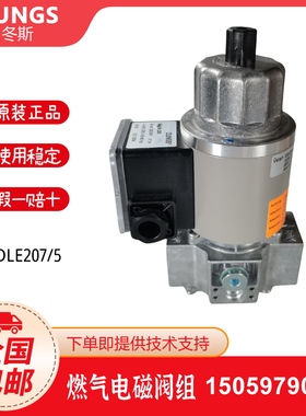 冬斯DUNGS电磁阀MVDLE205 MVDLE207 MVDLE210 MVDLE215 MVDLE220