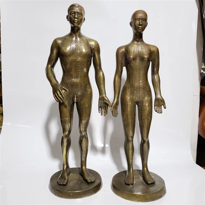纯铜穴位人针灸人体经络中医文化馆展示男女铜人模型摆件装饰礼品