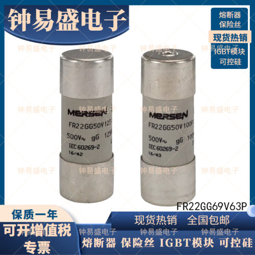 罗兰ferraz熔断器 FR22GG69V2P FR22GG69V4P 法国Merse美尔森保险