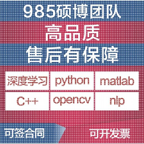 python算法复现优化图像识别强化学习深度学习Matlab建模仿真指导