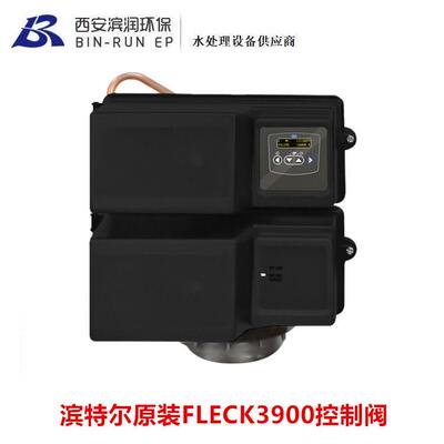 滨特尔原装FLECK3900富莱克软化阀3900 流量50吨 进出水口3寸
