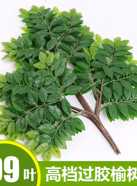 仿真榆树叶手感过胶塑料榆树支绿色植植物叶子假树枝工程装饰造型