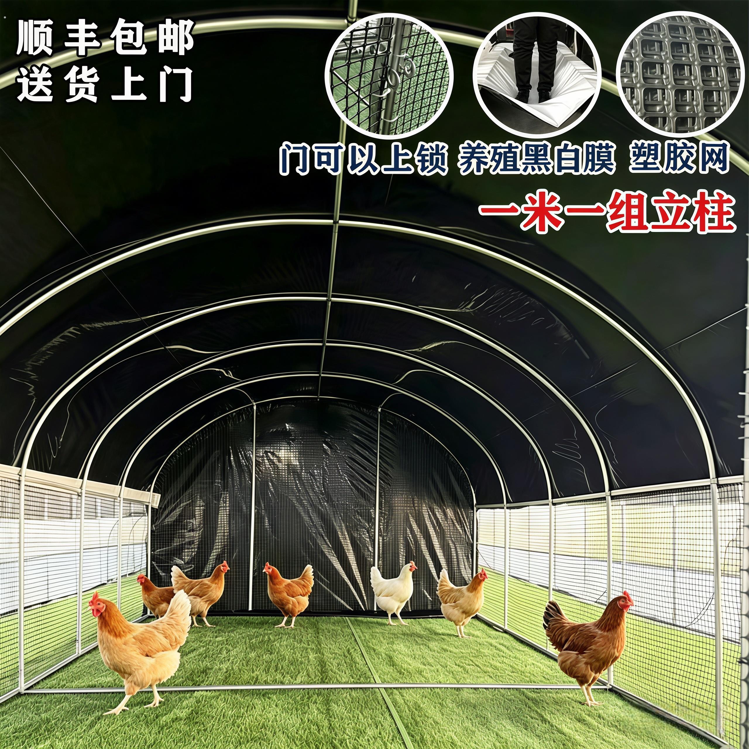 养殖鸡棚鸡窝家禽鸡笼子户外防雨棚鸭棚鸽舍家用组装大型鸡舍搭建