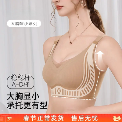 普拉提3.0 防下垂收副乳内衣女聚拢无钢圈粉底液调整大胸显小文胸