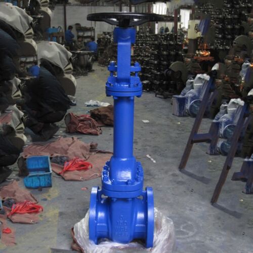 WZ41H-16C/25C/40C 波纹管闸阀 铸钢法兰连接闸阀 2寸 DN100 DN80