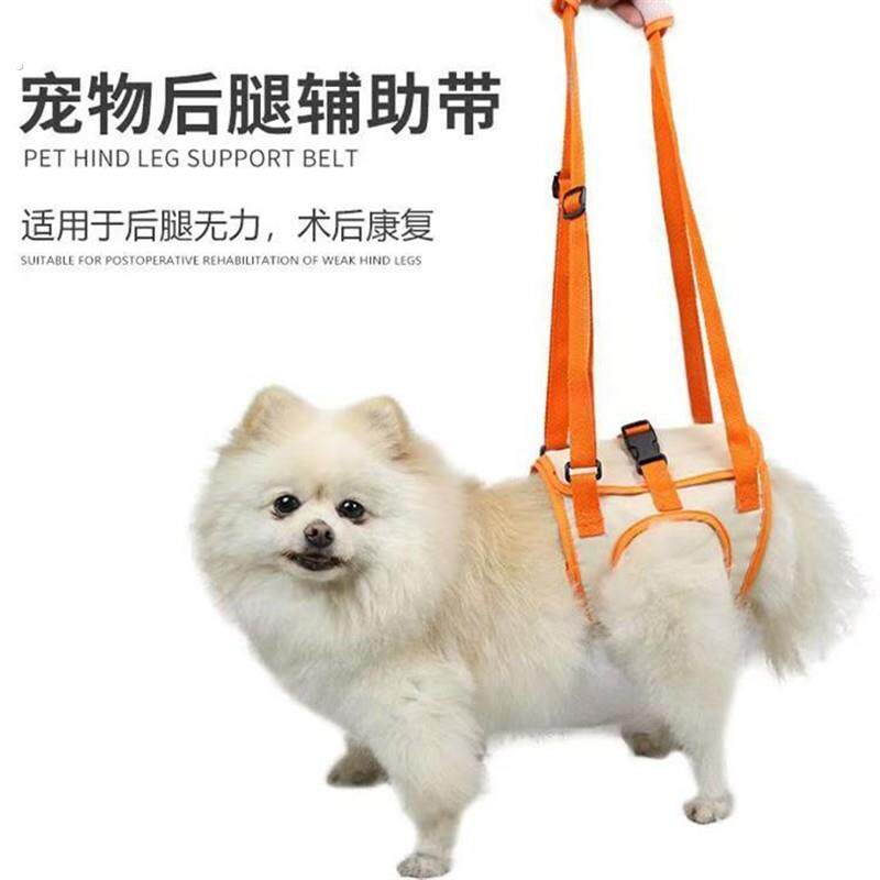宠物后肢辅助带狗狗后腿身心障碍上楼神器老年犬受伤康复后肢无力