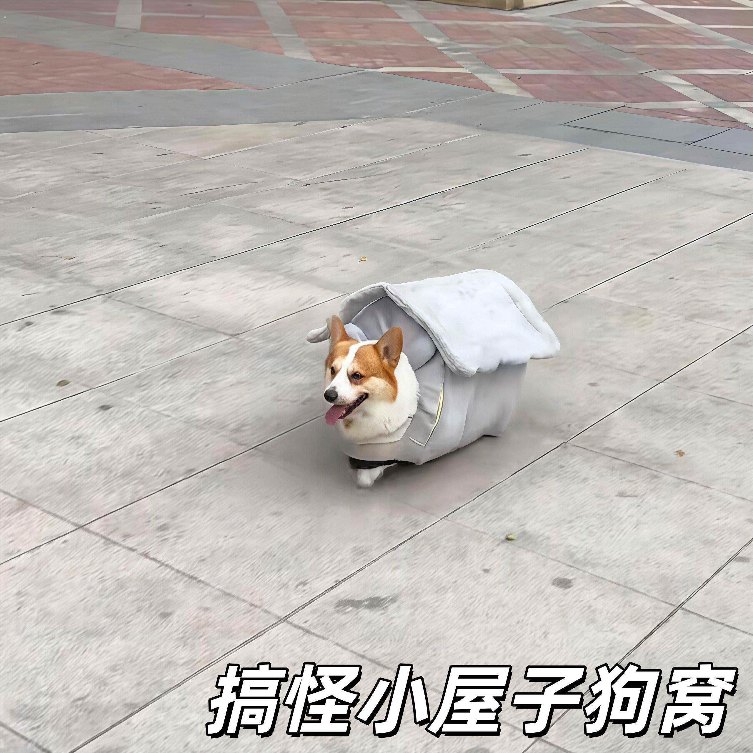 搞怪小屋子狗窝创意抽象四季通用宠物窝可爱狗狗可拆洗加厚宠物垫