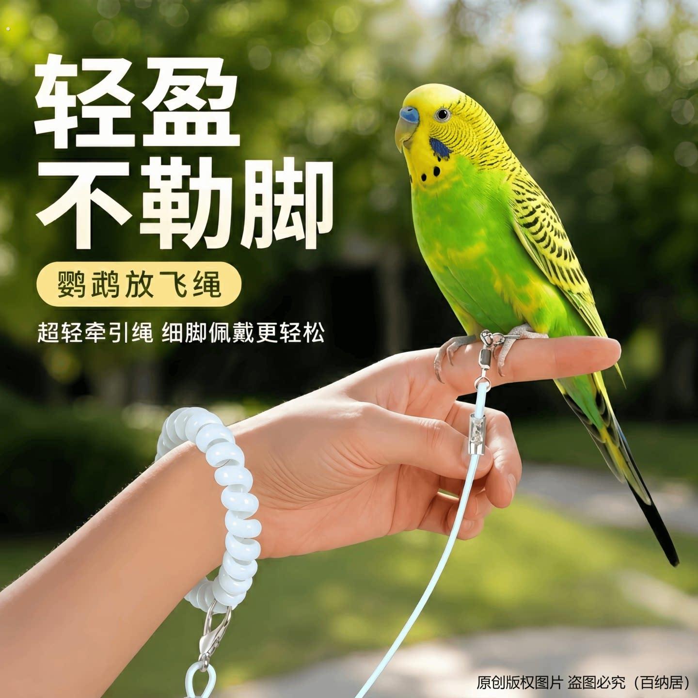 鹦鹉放飞绳不伤脚超轻牵引绳虎皮玄凤牡丹小太阳脚环脚链遛鸟绳子
