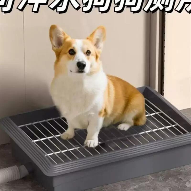 狗狗马桶辅助器自动排尿小型犬专用上厕所神器可冲水宠物马桶盆