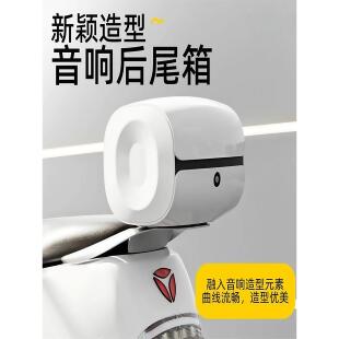 电动车后置车箱新款音响尾箱电动车后背箱通用靠背大容量储物箱