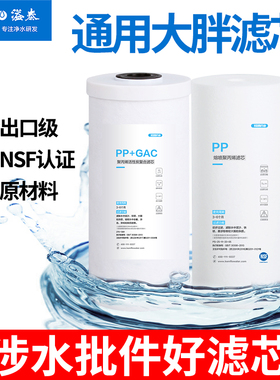 溢泰康富乐前置过滤器中央全屋净水器10寸大胖PP棉活性炭复合滤芯