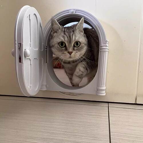 宠物自由进出门洞木门铁门墙壁穿洞安装 猫狗通用标准尺寸门洞