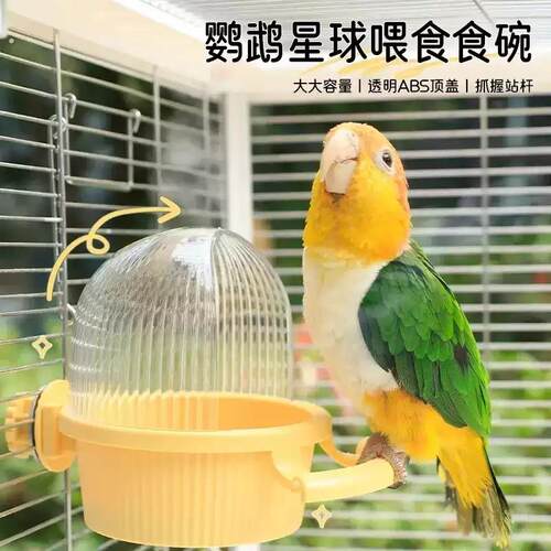 鹦鹉食盒防溅小鸟用喂食器食罐挂式防撒喂食喂鸟器饮水器食碗食盆
