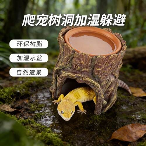 垂耳兔爬虫树洞加湿躲避洞穴树脂躲藏洞陆龟守宫蜥蜴爬宠缸造景装