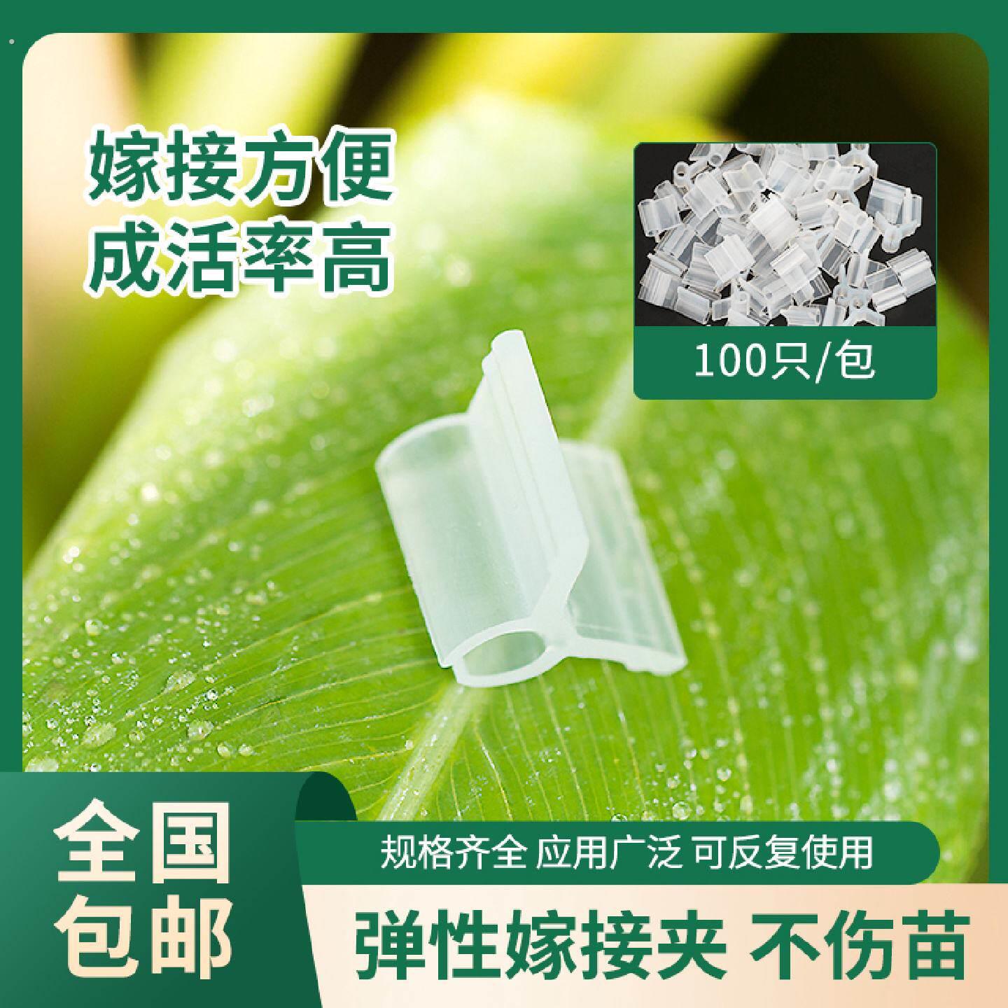 软质嫁接夹塑料蔬菜瓜果育苗嫁接夹茄子西瓜黄瓜园艺绑蔓夹不伤苗