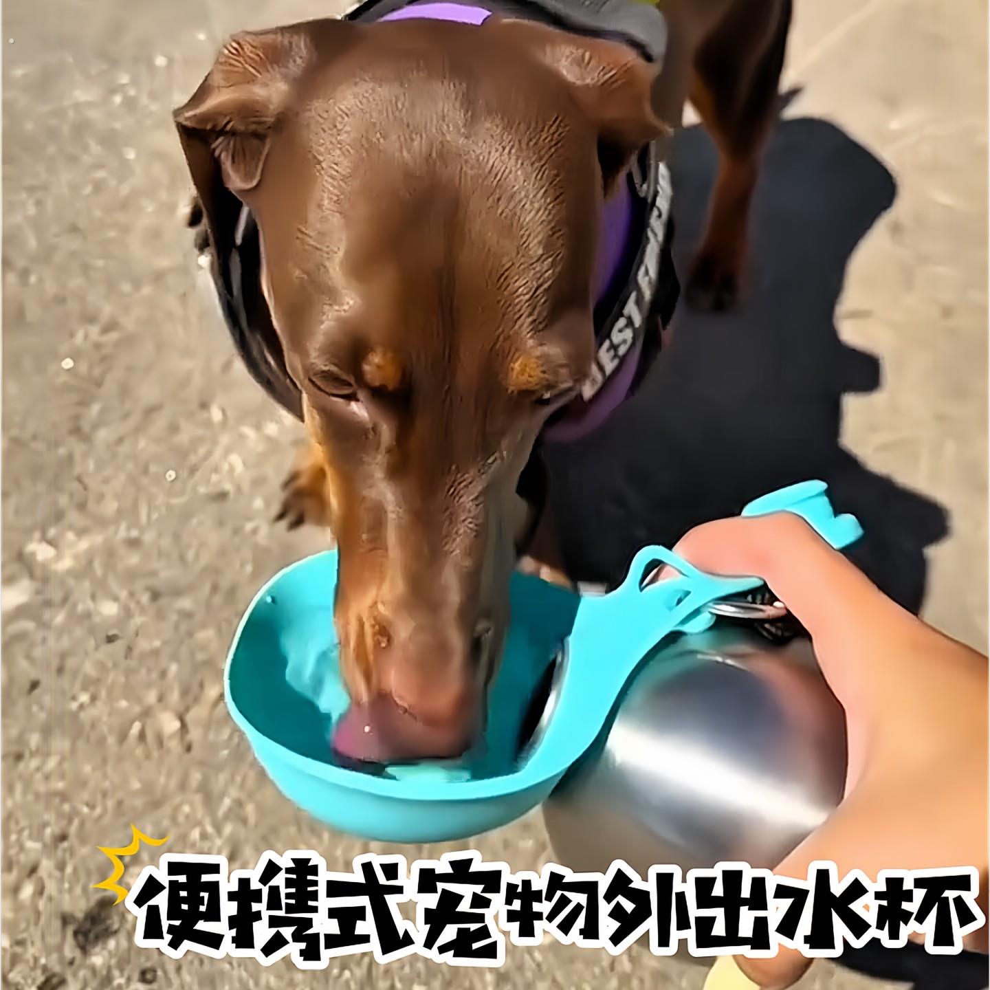 外出水杯狗狗便捷不锈钢水壶防漏挂钩可折叠喝水碗随行饮水器宠物