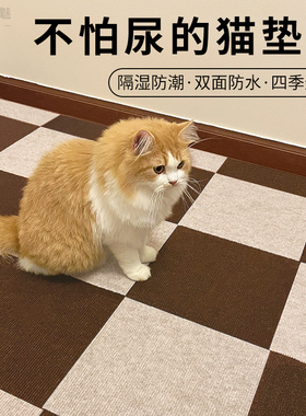 宠物地垫专用拼接地毯猫咪狗狗防水防尿防滑垫加厚卧室客厅地板贴