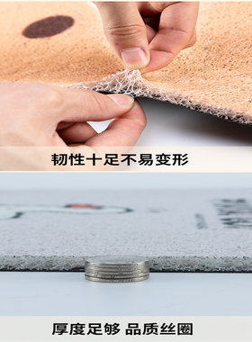绿源D-S70电动车脚垫防水丝圈脚踩垫踏皮垫d-s70TDT23018Z踏板垫