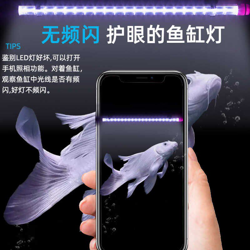 蓝白混合光银龙雷龙三湖慈鲷蝴蝶鲤专用观赏超白光鱼缸灯led防水