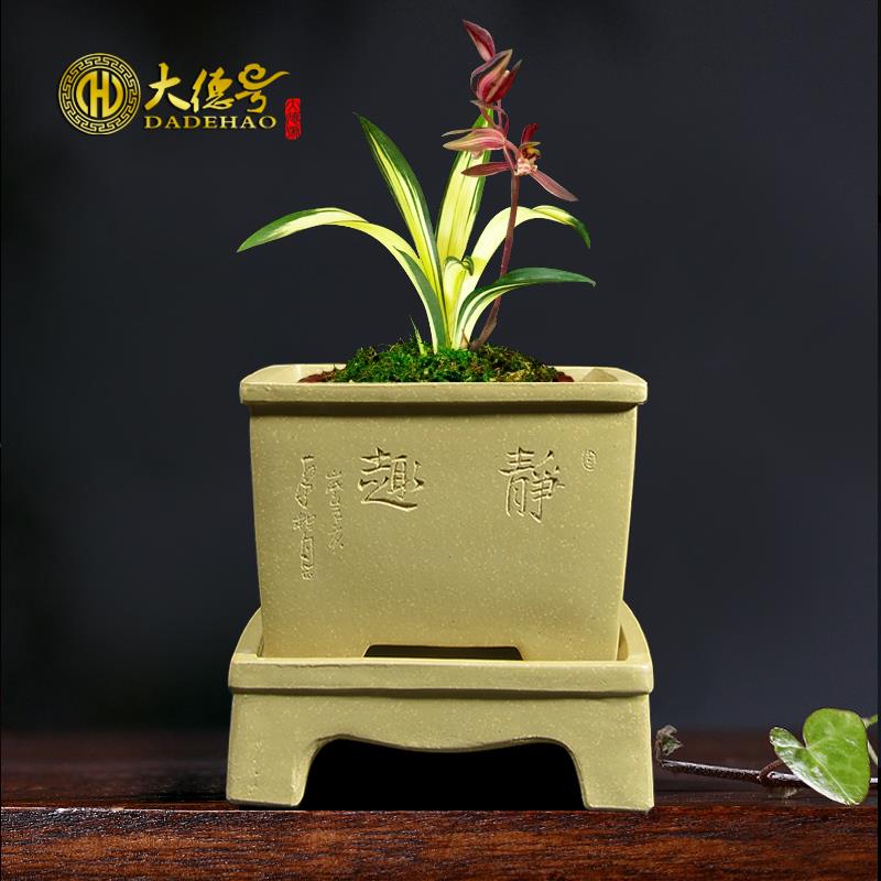 陶瓷紫砂花盆多肉君子兰兰草建兰蝴蝶兰小号带托盘透气创意四方盆
