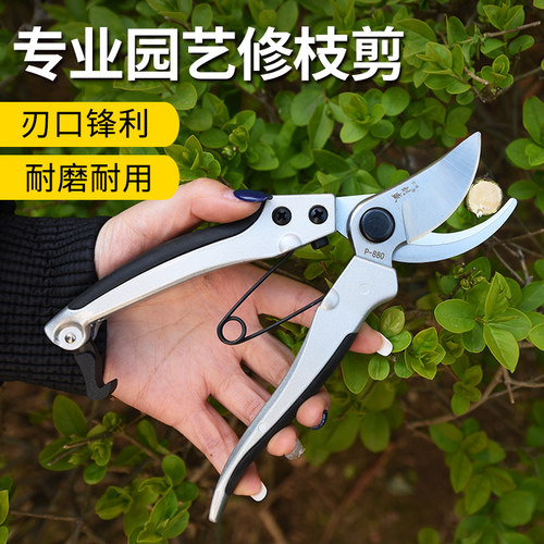 刘盛P-880修枝剪刀果树剪粗枝剪家用手剪花剪园林剪枝剪工具