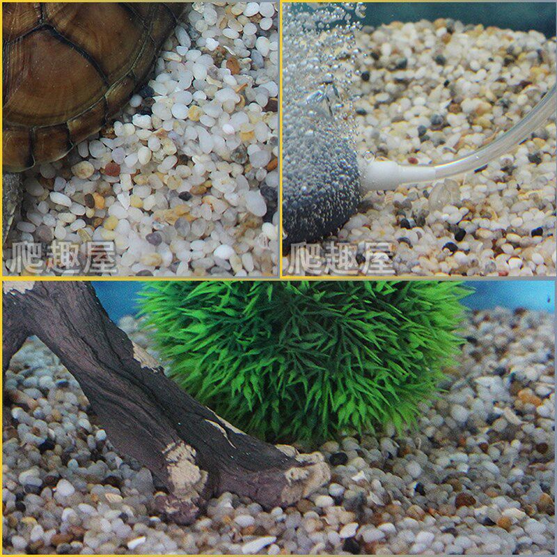 鱼缸底砂水族箱底沙乌龟缸石子鱼缸布景装饰垫材天然造景沙养水草