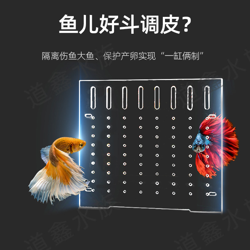 鱼缸隔离板亚克力分隔挡板塑料透明网格片鱼苗定制加密打孔隔断仓图片