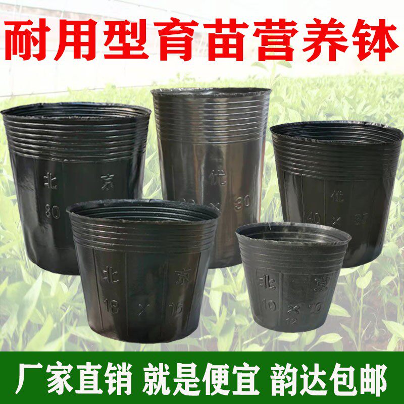 营养钵树苗种植营养袋育苗钵营养杯一次性黑色塑料软花盆简易加厚