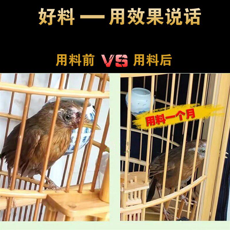 白子画手工精品画眉鸟食打口专用昆虫营养饲料斗雀提性壮膘上力粮