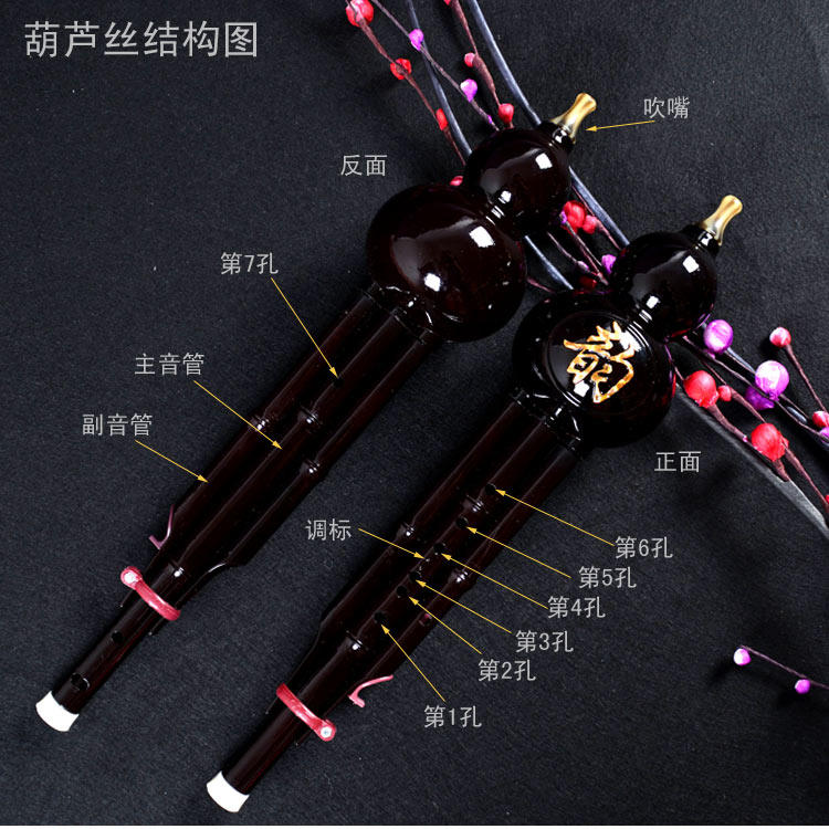 云南葫芦丝乐器C调降B调小学生儿童零基础初学者胶木入门耐摔包邮