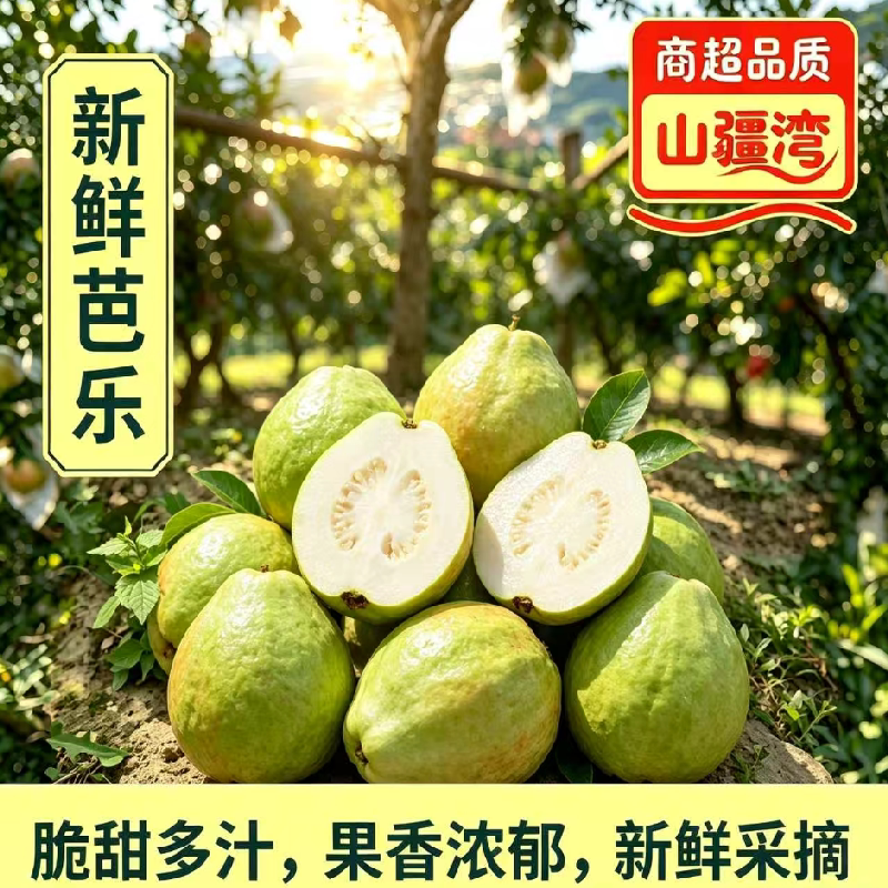 山疆湾云南蒙自奶油芭乐