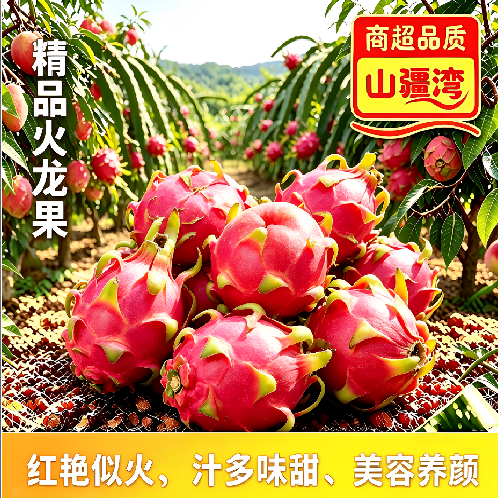 山疆湾精品火龙果5斤净重