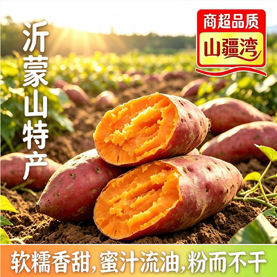 山疆湾沂蒙山烟薯25号直发红薯