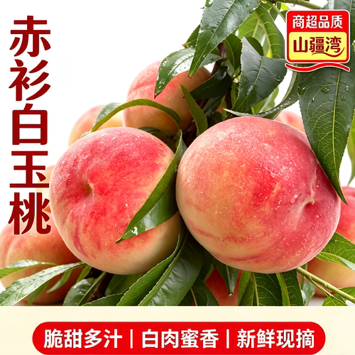 山疆湾赤衫白玉桃4.5斤净重鲜发