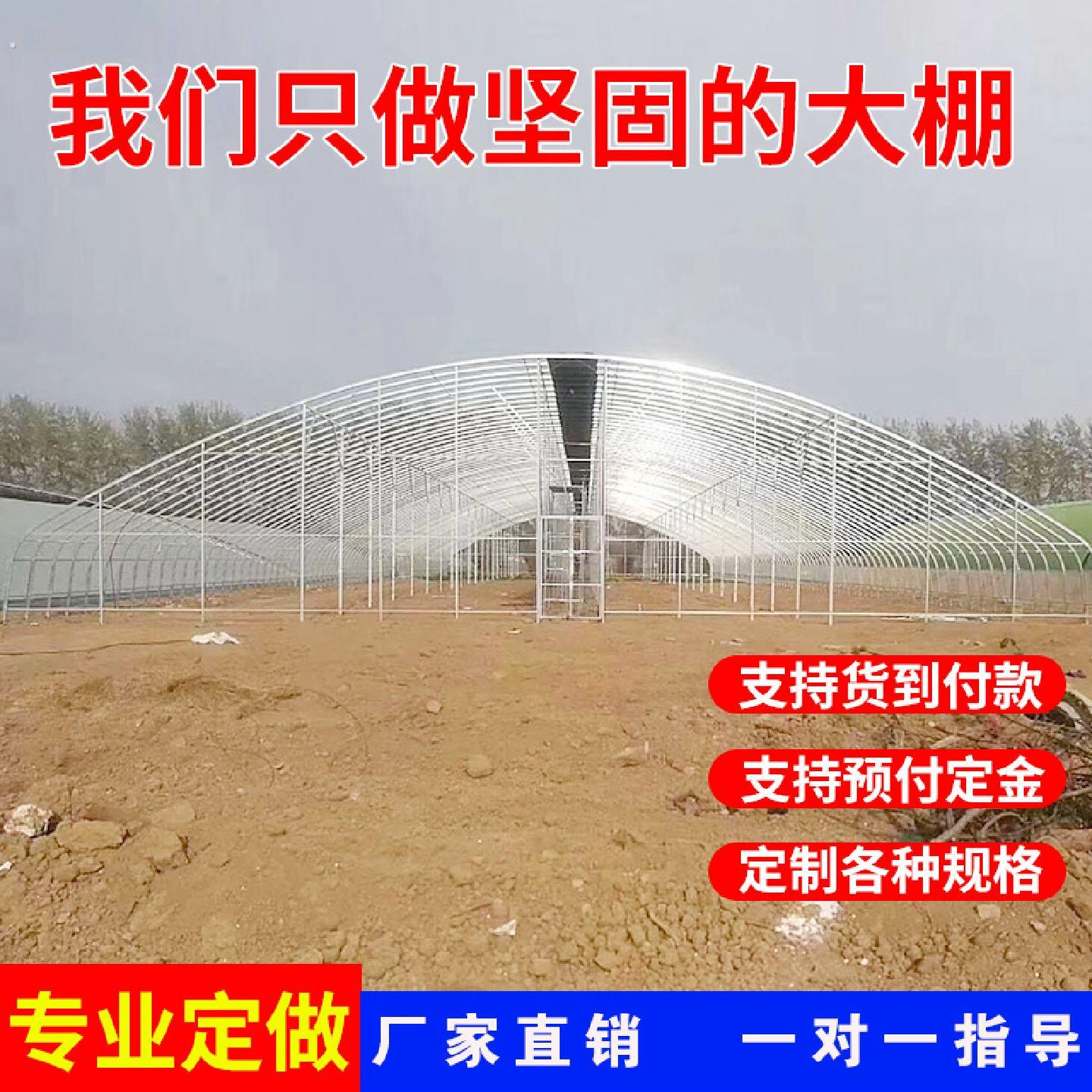 温室大棚热浸镀锌钢管骨架家用种植蔬菜养猪椭圆管养殖椭圆防锈钢