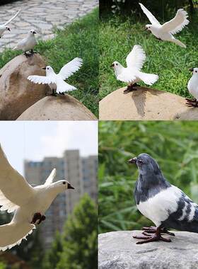 仿真鸽子摆件白鸽婚庆道具和平鸽模型真羽毛可悬挂仿真鸟标本拍照