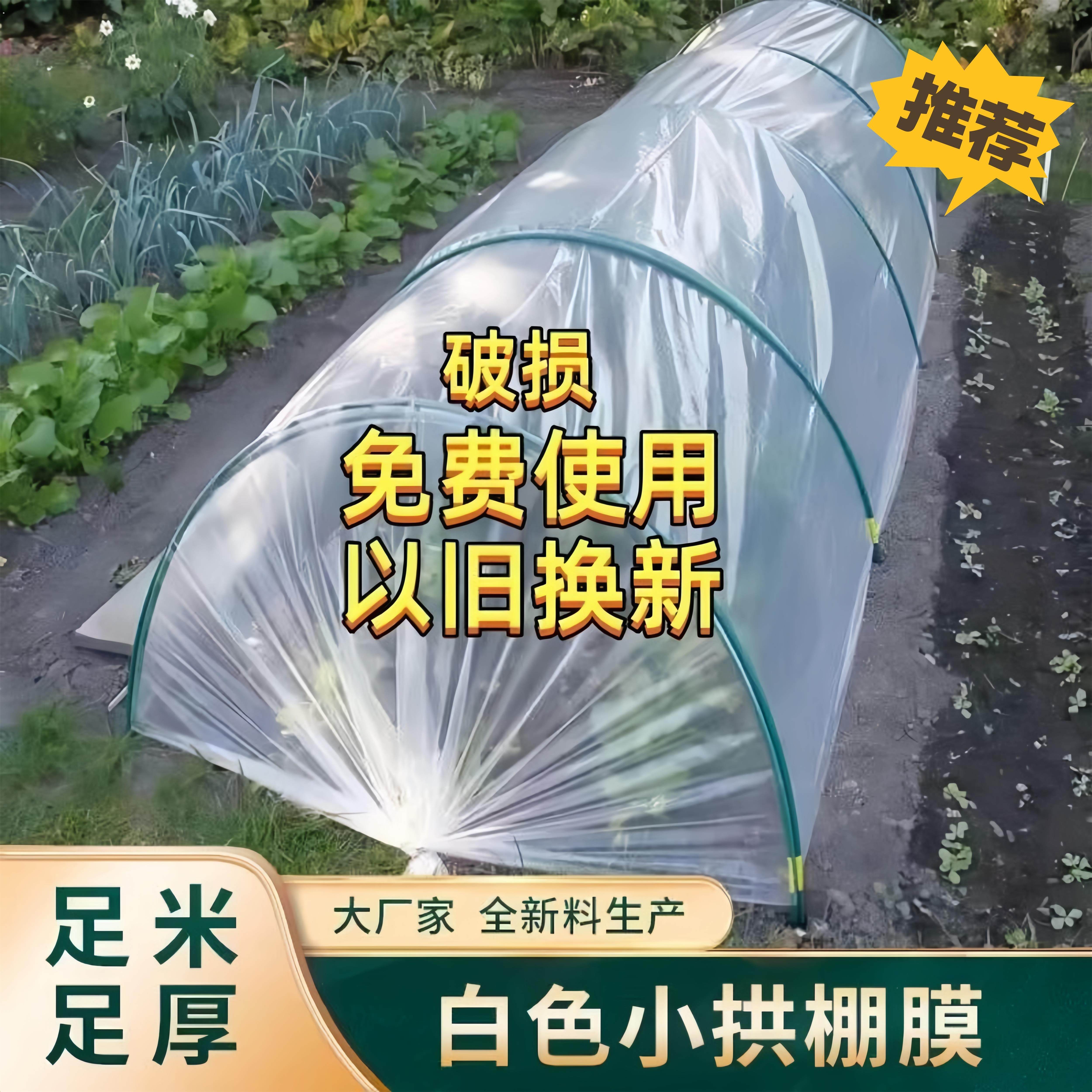 塑料薄膜透明加厚防雨挡风遮盖种菜小拱棚专用膜农用塑料纸育苗