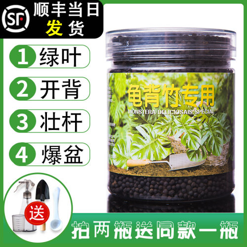 龟背竹鸭脚木常春藤肥料专用肥复合肥营养土有机鹅掌肥料盆景通用