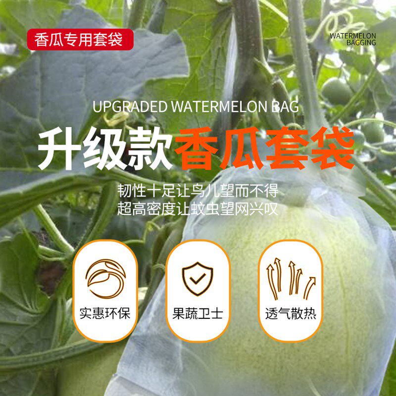 香瓜专用套袋羊角蜜保护袋防虫防鸟神器石榴西瓜通用型水果网纱袋