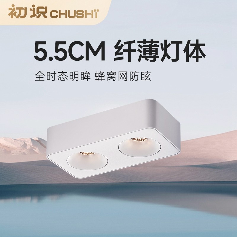 初识照明超薄明装斗胆灯卧室防眩目筒灯餐厅双头四头智能客厅灯具