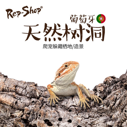 爬虫爬宠葡萄牙天然树皮树洞造景躲避洞穴晒台陆龟蜥蜴树蛙蛇树皮