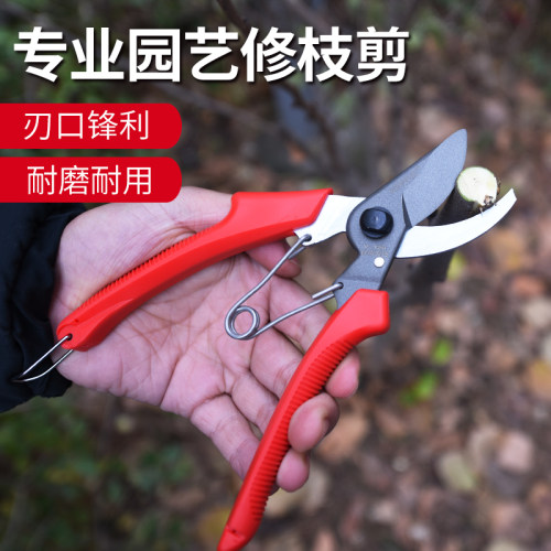 肯赫120T修枝剪花优质园艺剪整枝剪果树剪花剪桑剪刀园林工具