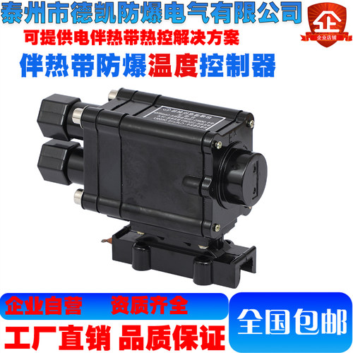 防爆电热带伴热带加热带专用防爆温度控制器220V/380V